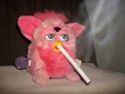 Furby Got Back