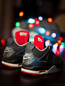 princepatrickii:  1999 Bred IV’s. (ntmain) 