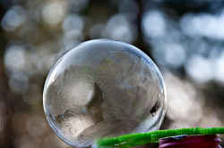 zombiekookie:   Did you know that you can freeze bubbles? These