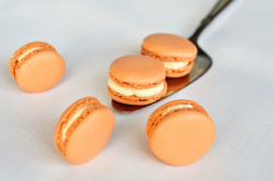 gastrogirl:  pumpkin pie macarons. 