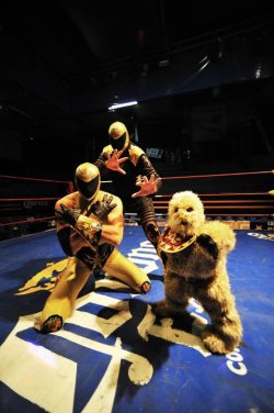 luchalibremexicana:  Los Tinieblas con Alushe.  GRINDHOUSE LUCHA