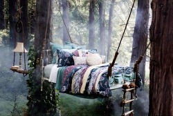 bluepueblo:  Forest Tree Bed, United Kingdom photo by timwalker