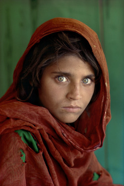 fotojournalismus:  Sharbat Gula, Pakistan, 1984. Photo by Steve