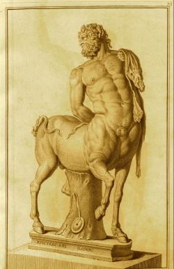 langoaurelian:  18th Century print of a Centaur Musei Capitolini,