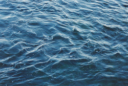 amarefeles.tumblr.com/post/13692875329/