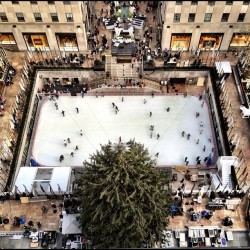 rockefellertree:  Bird’s-eye view of the Rockefeller Center