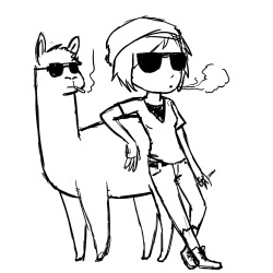 stephadoodle:  I keep seeing something about Quinn and Alpacas