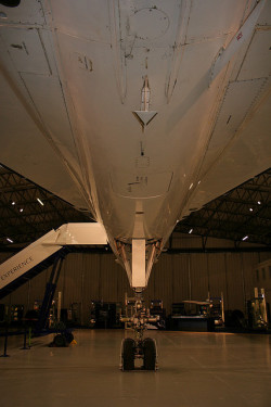 venvierra:  Concorde on Flickr. 