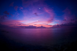 vigorem:  Maldivian Night (by Dominic Kamp) 