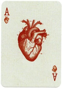  ace of hearts