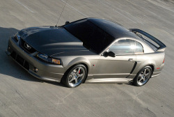 Pure Muscle