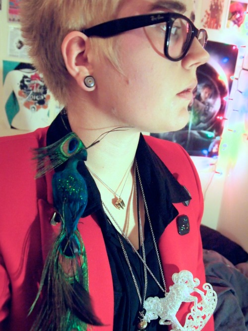 earlfoolish:  I bought this red jacket yesterday, and the peacock and glittery horse were already in my possession (they’re both actually christmas ornaments, but I like to think of myself as a tree to be decorated or something. Honestly, christmas