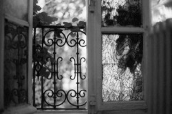 Life's Grays
