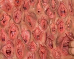 pussy-pro:  a wall of vagina 