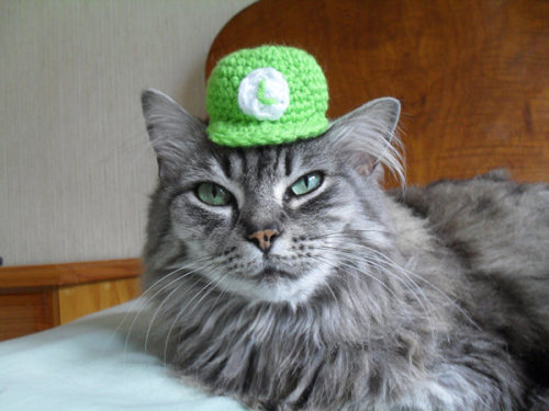 ianbrooks:  Super Mario Bros. Cat Hat by Lori Turnbull Available for purchase at etsy forŮ.50 USD/ea.  (via: fashionablygeek)  