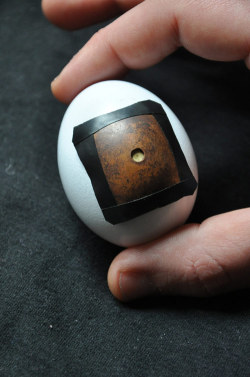 ranesang:  Pinhegg, created by  Francesco Capponi, is a pinhole