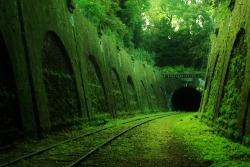 bluepueblo:  Abandoned Railroad Tunnel, France photo via panda