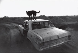 arsarteetlabore:Wim Wenders, Dusk in Coober Pedy, South Australia,