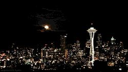 seattlechillin:  I did another one like this a long time ago