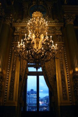 everythingmeanseverything:  view from inside the palais garnier,