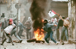 weld-el-hay:“They used to say Palestinians fight like heroes,