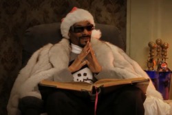 tofusushi:       Snoop Dogg is going to tell us the meaning of