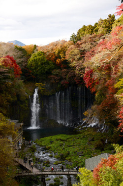 bluepueblo:  Autumn, Shiraito Falls, Fujinomiya, Japan photo