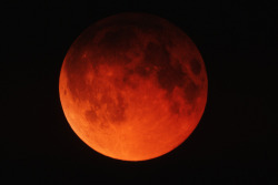 discoverynews:  Don’t Miss the Last Total Lunar Eclipse til