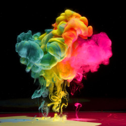 thomforsyth:  Aqueous Fluoreau | Mark Mawson Underwater Ink Photography