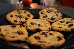if you bring me these cookies i’ll let you stay and watch