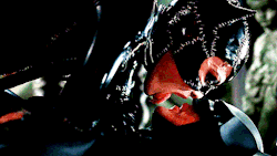 @AdorableBipolar hace mucho eso :3 thatscrazysexy:  secret-nerdycurves-ahead: