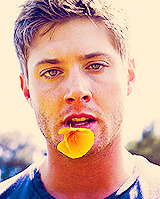  Nine favorite pictures » Jensen Ackles asked by em-winchester