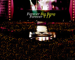 jhope-ssi:  As long as Big Bang exists, I will forever be a VIP. 