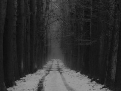 wandering