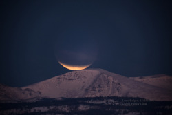 moderation:  Skywatchers Share Lunar Eclipse Photos, Videos —