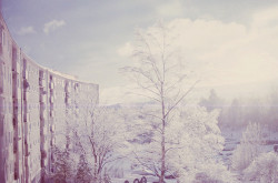 hassnaamohamed:  untitled by heddaselder on Flickr.
