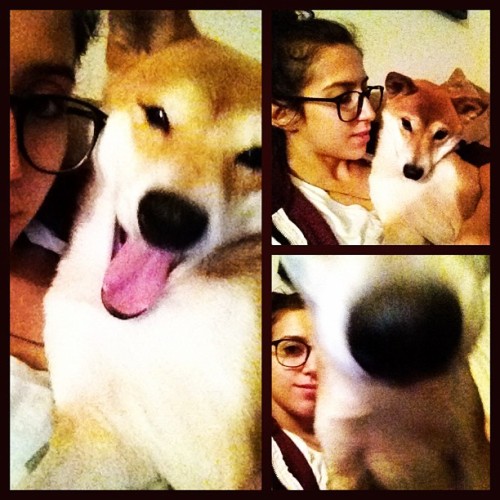 I missed this pup ever so much! (Taken with instagram)