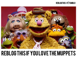  how could you not like the muppets? lol