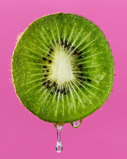 wonderfulmachine:  Kiwi. by Hank Drew/Seattle 