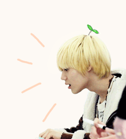 who has a weakness for taemin?