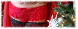 cockylingerie:  Santa’s nice or naughty list starts tomorrow. 