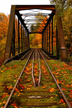 bluepueblo:  Autumn Railroad Bridge, Vermont photo via touchn2btouched