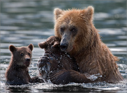 magicalnaturetour:  Igor Gushchin Photographer :) 