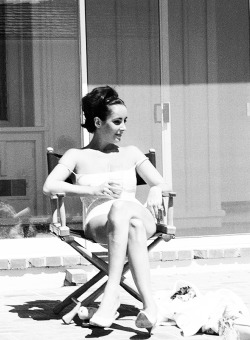 avagardner:Elizabeth Taylor photographed by Yul Brynner, 1963.