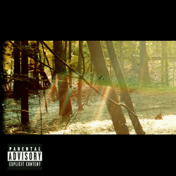 defendbrotography:  top 10 albums of 2011 1. camp: childish gambino