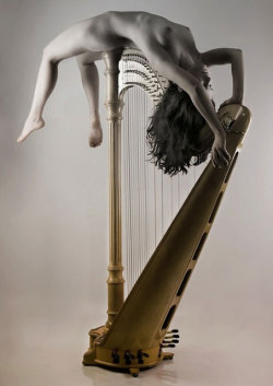 musicandnude:  Concert Harp