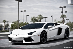 automotivated:  Lamborghini Aventador LP700-4 (by Brecht Decancq