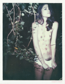 coachmoon:  lola & the polaroid at hotel moon 2011 coach