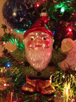 my gnome ornament