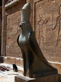 akalle:  Horus at Edfu 